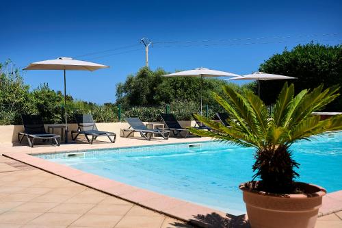 Les Jardins De La Madrague - image 8