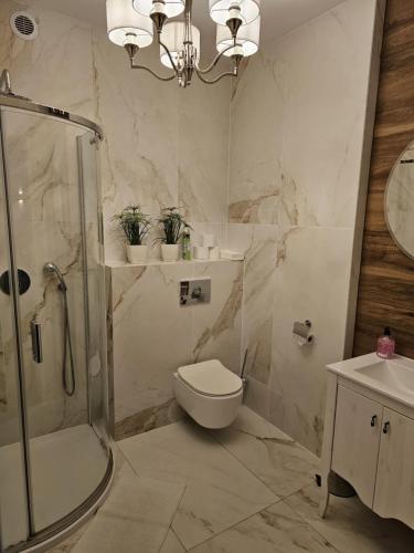 Shower, Apartament ,, Studio '' in Niemce