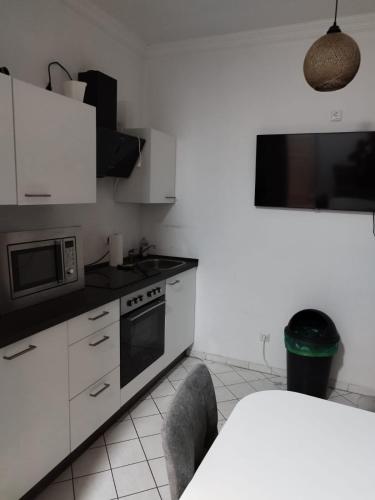 StayInn Möckern - 1 Studio Apartment für 3 Personen -1Zimmer mit Schlafsofa und Doppelbett-kein zweites Zimmer, Leipzig (foto 3)