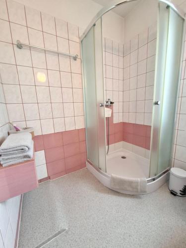 U Tylki Studio z widokiem na góry, PARKING GRATIS, Zakopane (Foto 5)