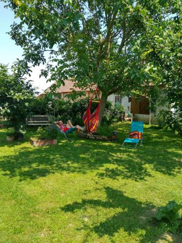Skats, Harmat Porta in Galambok