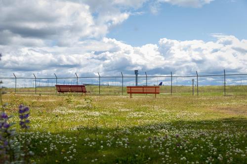 Comfort Hotel RunWay - image 4