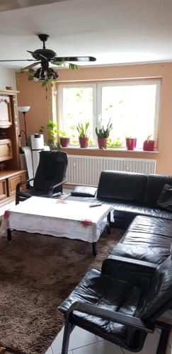 2 Zimmer Wohnung, Colonia (foto 5)