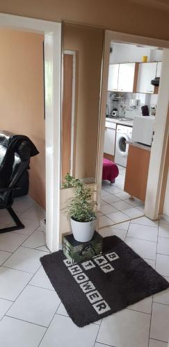 2 Zimmer Wohnung, Colonia (foto 7)