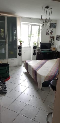 2 Zimmer Wohnung, Colonia (foto 9)