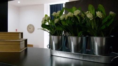 Watching Azores Apartment - image 9