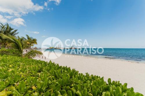 ARENA Beachfront 2 BDR with pool by Casa Paraiso, Cancún (photo 6)
