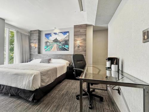 Elite 47 Interlomas Room Type - Deluxe King Room