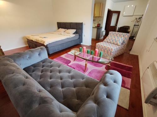 Apartment Zoo Garden