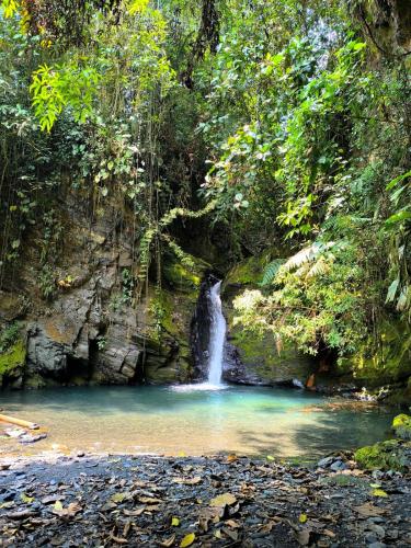 Finca en Vergara "Prado Alto"