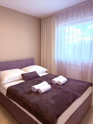 LOFT APARTAMENT II Kępno