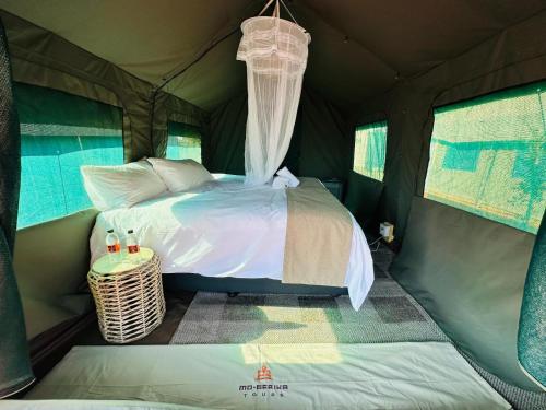 Tlou Tribal Lodge in بيلانسبرغ ناشونال بارك