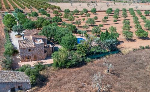 Can Botoner - Es Trenc - Grupo Berna, Campos (fotografie 7)