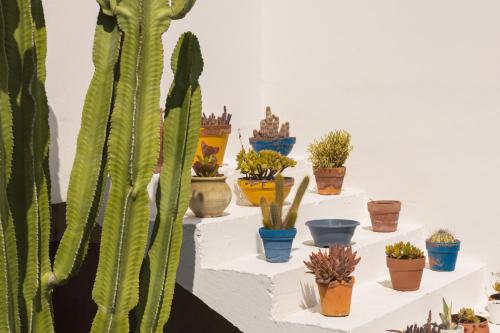 Hotel Puglia Garden - image 5