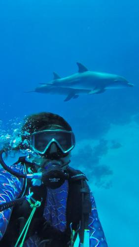 Private Diving in Hurghada, Hurghada
