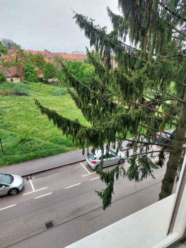 Apartment Marija in Varaždin