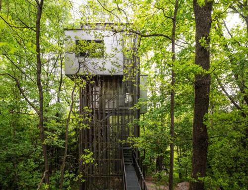 Baumhaus Lodge Schrems