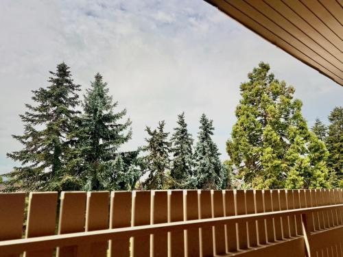 BlackForest 22 in Binzen