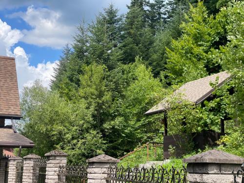 Оранта, Schodnica (zdjęcie 6)