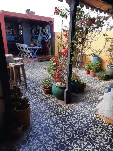 Hostel & Riad - image 11