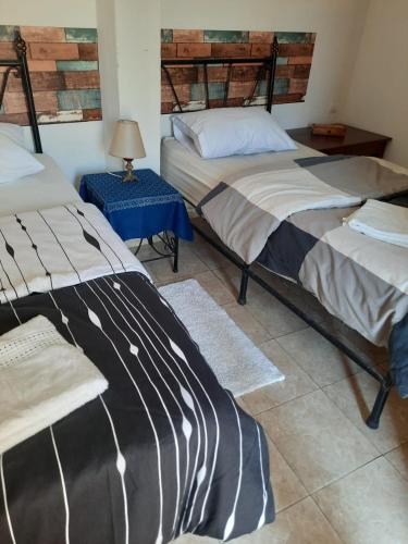 Hostel & Riad - image 14