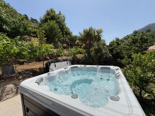 สภาพแวดล้อมโดยรอบ, Alfatima in มอนเตกาซ