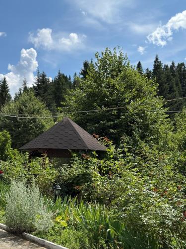Сідус, Schidnycja (fotografie 10)