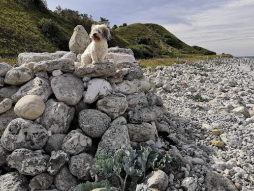  6 person holiday home in Sjællands Odde-By Traum in Tjørneholm