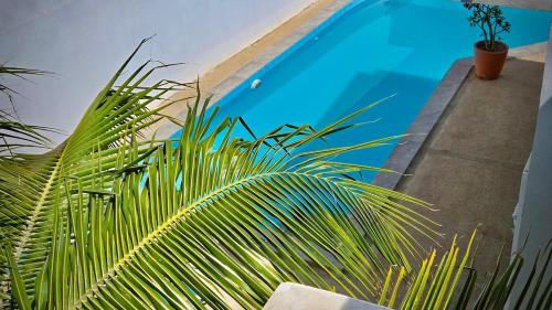 Baseinas, Villa with pool, close to sea in Ouoran