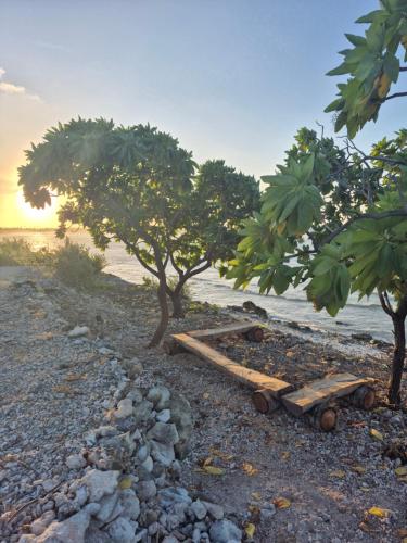 Vaimoe Lodge Tiputa in Tiputa
