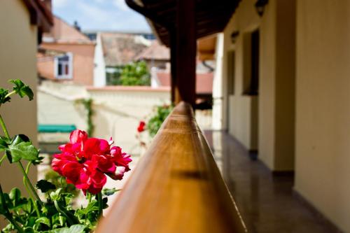 Rosen Villa Sibiu - image 12