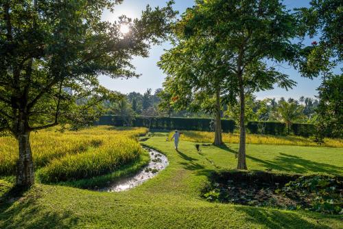 Lingkungan alam yang asri