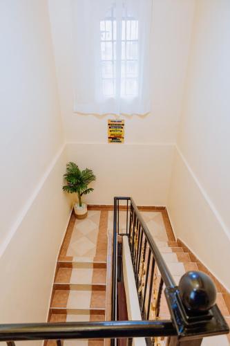 Great Hornbill Holiday Home in Thika