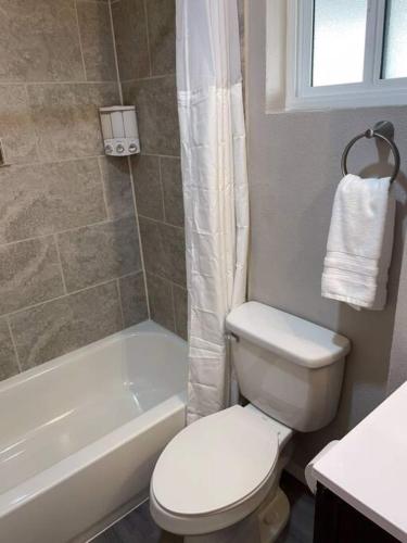 Modern Studio - Near UNM, Nob Hill and downtown, Albuquerque (fotografie 10)