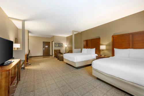 Comfort Inn I-20 Midland Stanton - image 14