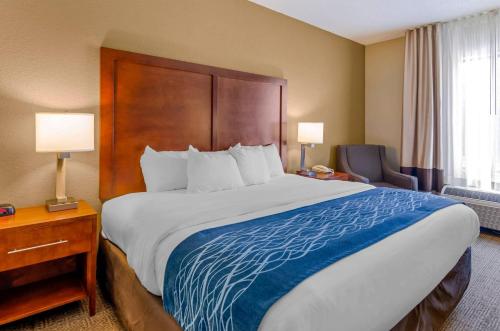 Comfort Inn & Suites Lynchburg Airport - University Area - Hotel - Lynchburg