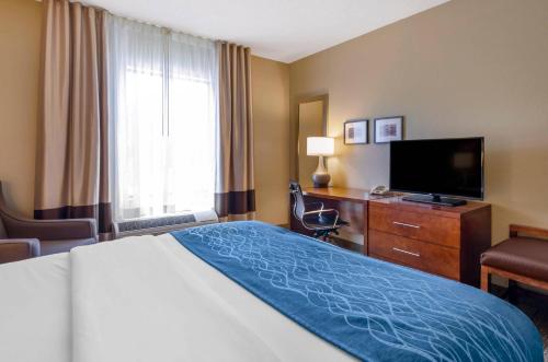 Comfort Inn & Suites Lynchburg Airport - University Area - Hotel - Lynchburg