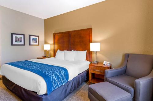 Comfort Inn & Suites Lynchburg Airport - University Area - Hotel - Lynchburg