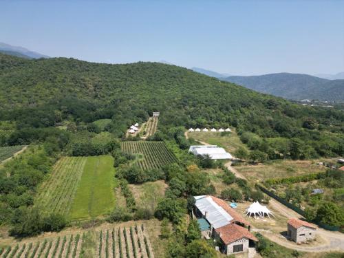 Peace Camp Gremi in Ενισέλι