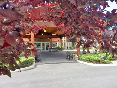 River Lodge and Grill - image 33