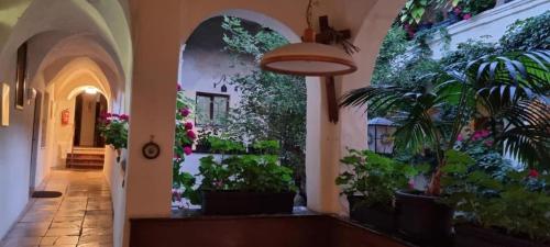 Gästehaus Einzinger in Krems an der Donau, Österreich