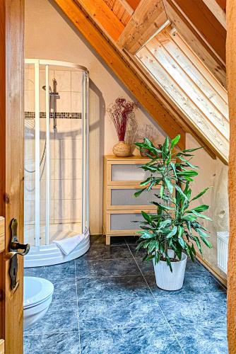 Duša, Hotel Olbernhau mit Sauna - Kleines Landhotel zur Ofenschenke in Pfaffroda