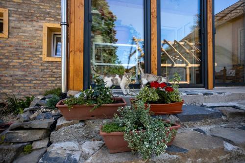 Ieeja, Nora Guest House - Happy Rentals in Nagygorbo