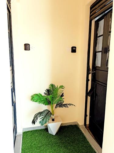 1BR With Dining Table Balcony and Free Parking in Kisumu