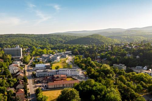 Hotel Aurora - image 4