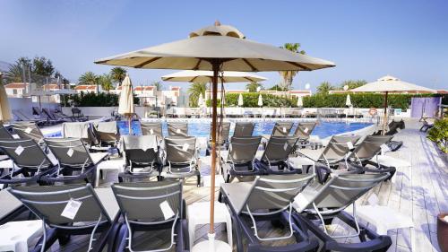 Coral Ocean View - Adults Only - image 10