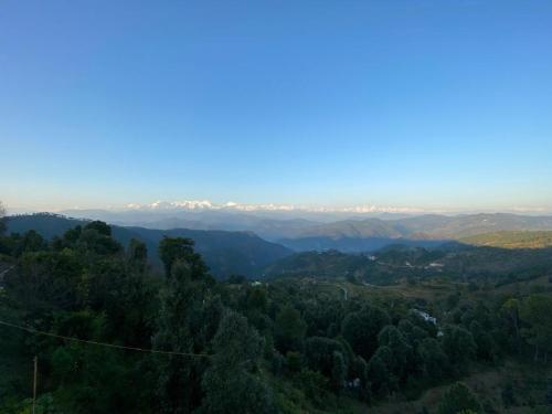 Drive to home, Binsar