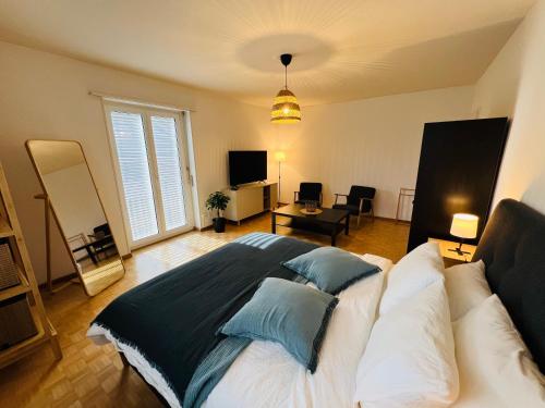 Cozy room in Basel, Basel (Foto 2)