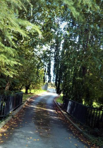 Delphi Lodge in Donaghmore