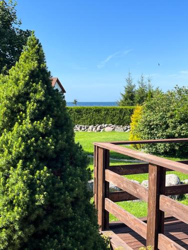Skats, Seaside Klaukse Little in Leesi